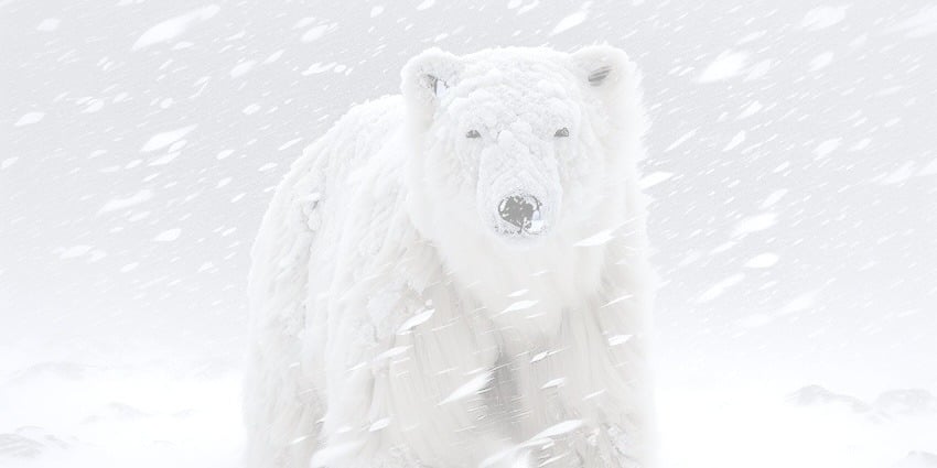 Snowflake data masking: Overcoming the challenges with K2view